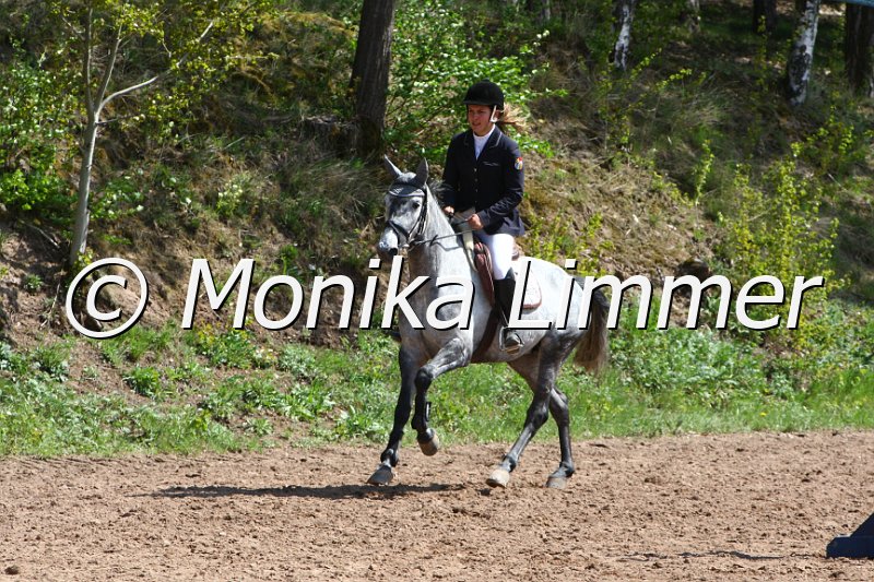 004M1951_La Muzie_Springpferde A xx.JPG